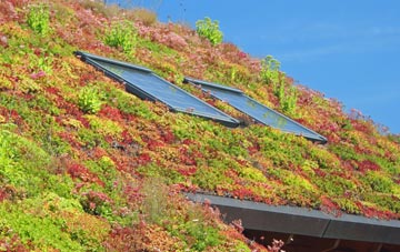Shaw Common living roof systems